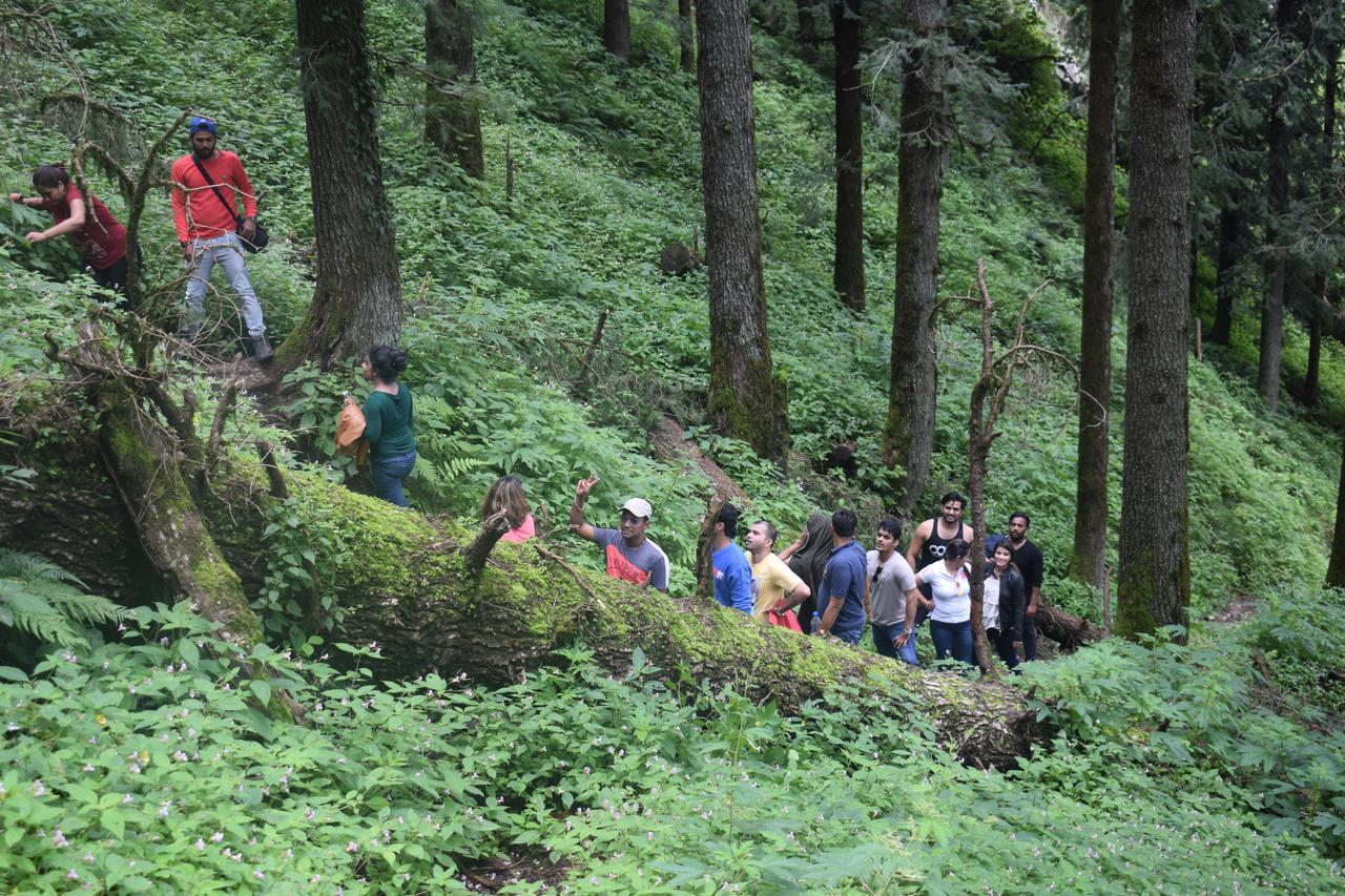 Ghughuti Resort Mussoorie Exterior photo